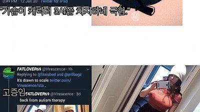 자기 캐릭터 올렸다가 욕먹은 사람