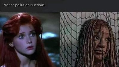 해양오염의 심각성