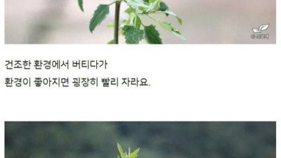 키우다 보면 다 예쁩니다