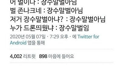 유독 믿지 못할 소문만 무성한 곤충