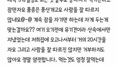 강아지가 너무 잡니다. 이유가 있을까요?