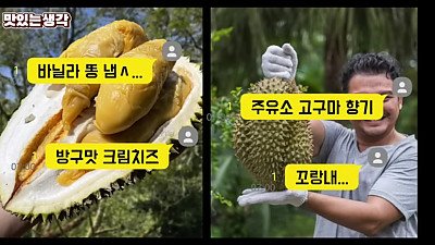 호랑이가 환장한다는 과일