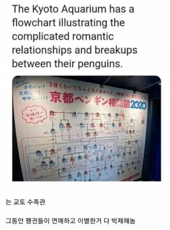 7b06cdcd01063e707362a0725a5c8e2f_1688918642_7798.jpeg