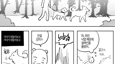 산책중에 만난 길 안내 해주던 들개