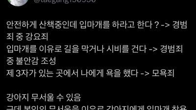 개 입마개 하라고 하면 안되는 이유