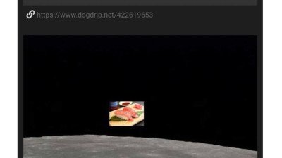 이 짤 올린 사람처럼 진짜 아무생각없이 살고싶다