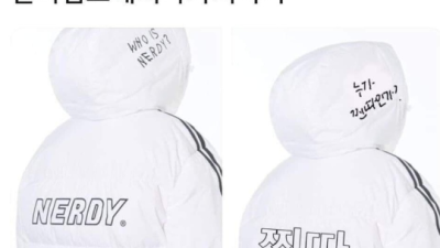 널디입고 해외나가지 마라