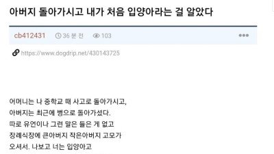 25살에 자기가 입양아라는 걸 안 익붕이