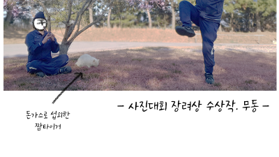 예비군 간 압둘