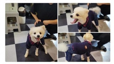 모텔 손님이 숙박비 대신 두고 간것
