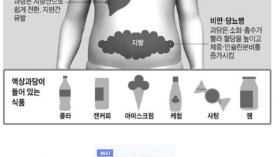 액상과당을 많이 섭취하면 생기는 일