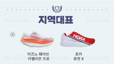 재미로 보는 러닝화 계급도