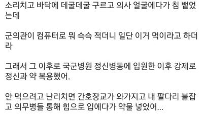 군대에 닌텐도 갖고 입대한 닌텐도 갤러