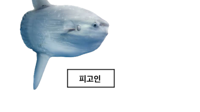 당근을 훔친 몰라몰라