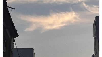 하늘 위에 헤엄치는 고래