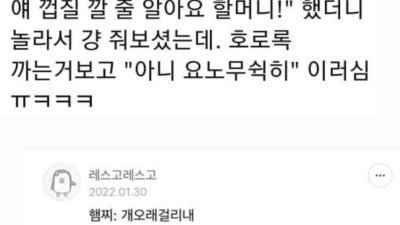 햄스터 먹이주는 할머니 썰