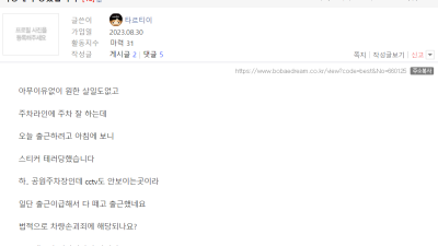 보배드림에서 당했다는 미친 차량테러