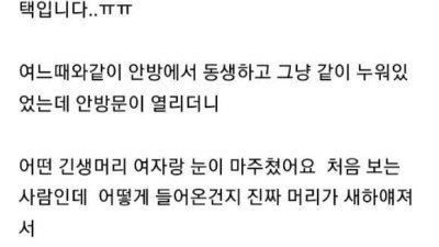 공포의 무단침입 캣맘