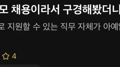 대규모 채용에서 문과가 할 수 있는 일