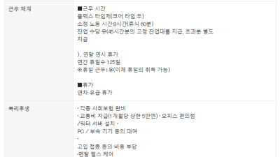 홀로라이브 한국 채용 예고