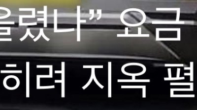 요금인상한 택시업계 근황