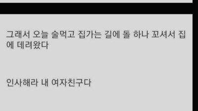 새 여자친구로 맞이한 디씨인